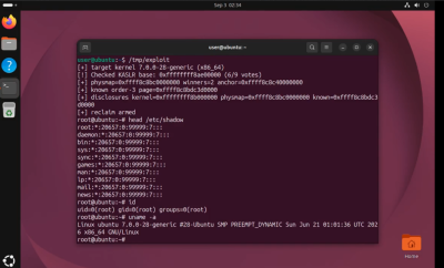 Linux SCTP CVE-2026-52924 深度分析