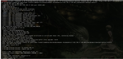 Kubelet端口未授权访问利用